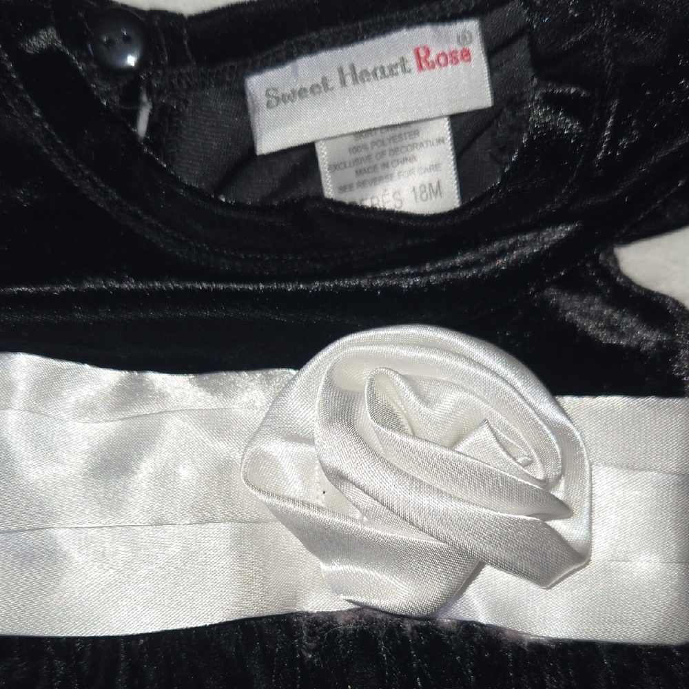 Sweet Heart Roses 18M Velvet Balloon Dress Satin Sash & Rose Posh Vintage Baby - Picture 3 of 16
